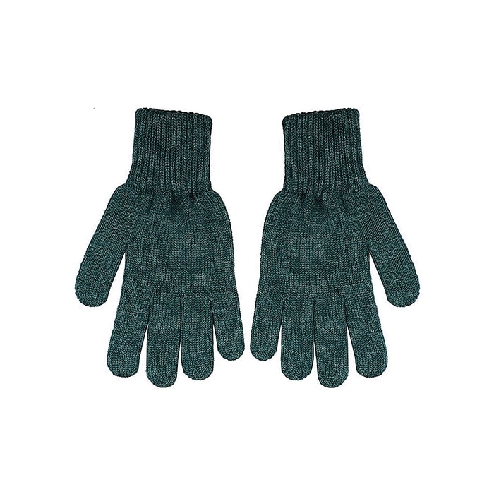 Thinsulate Gloves