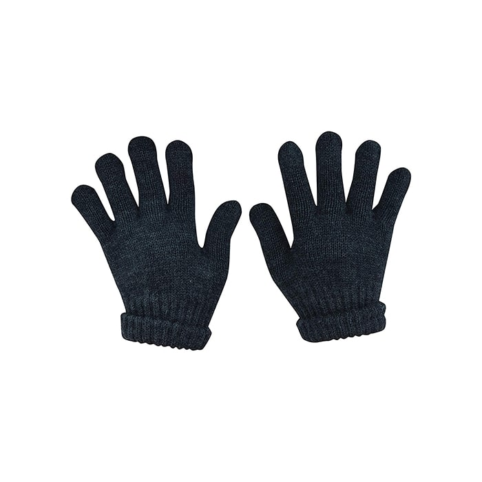 Thinsulate Gloves